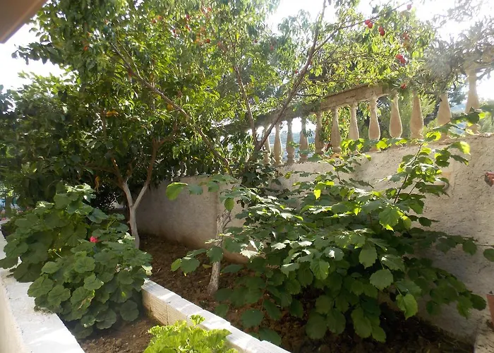 Bega סרנדה