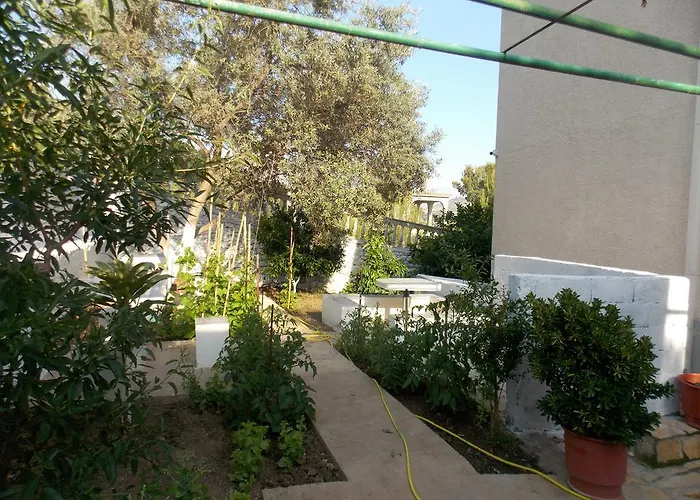 Bega בית הארחה סרנדה