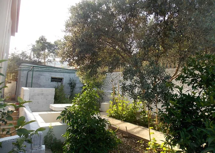 Bega בית הארחה