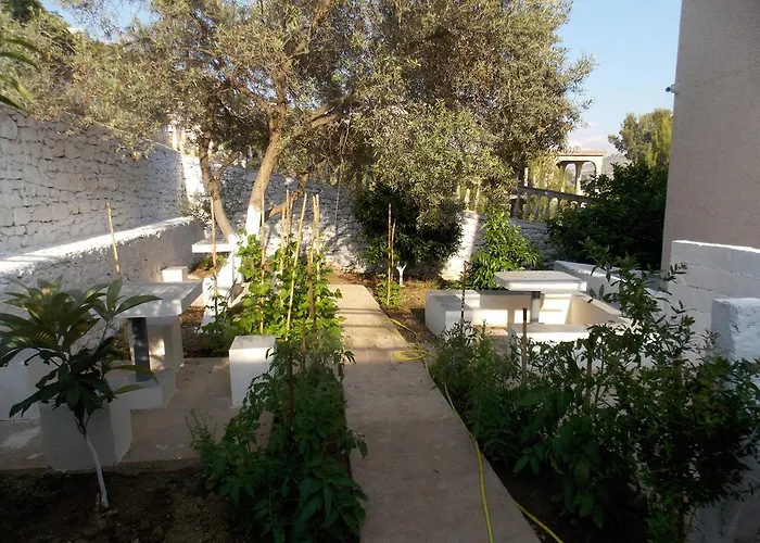Bega בית הארחה 3*