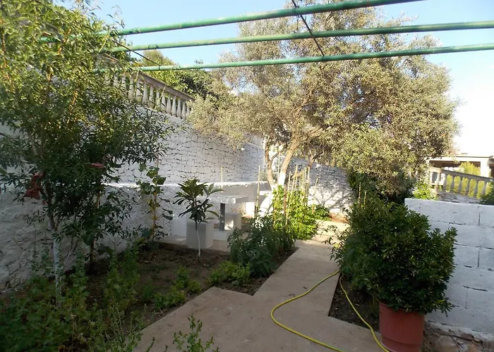 Bega בית הארחה סרנדה