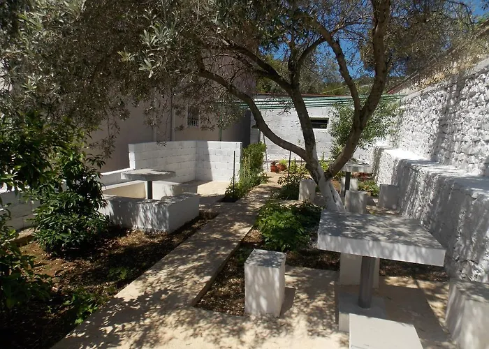 Bega סרנדה