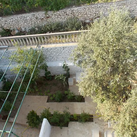 Vila Bega Guest house 3*