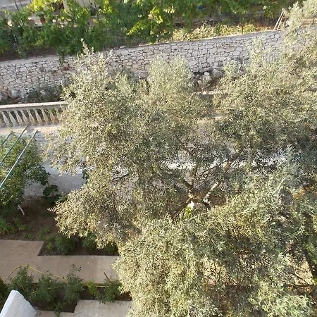 Vila Bega Guest house