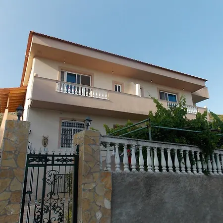 Guest house Vila Bega 3*