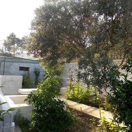 Vila Bega Guest house