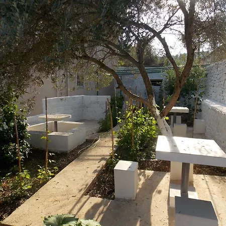 Guest house Vila Bega 3*