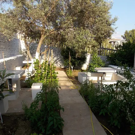 Vila Bega Guest house 3*