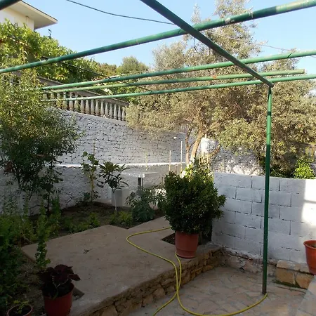 Guest house Vila Bega 3*