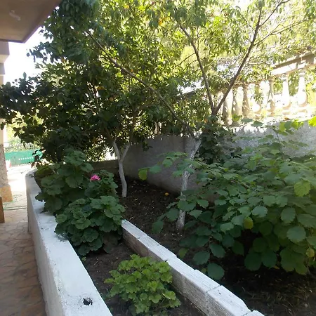 Vila Bega Guest house 3*