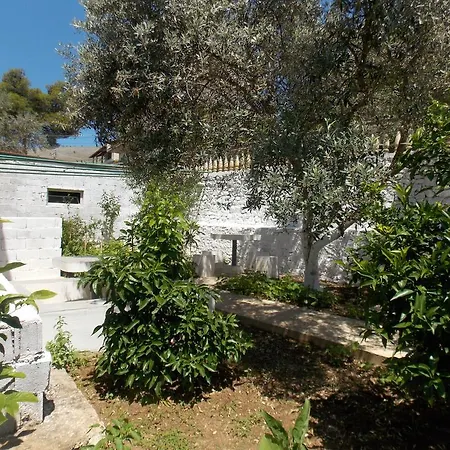 Vila Bega Guest house 3*