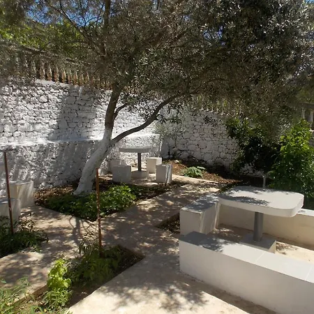 Vila Bega Guest house 3*